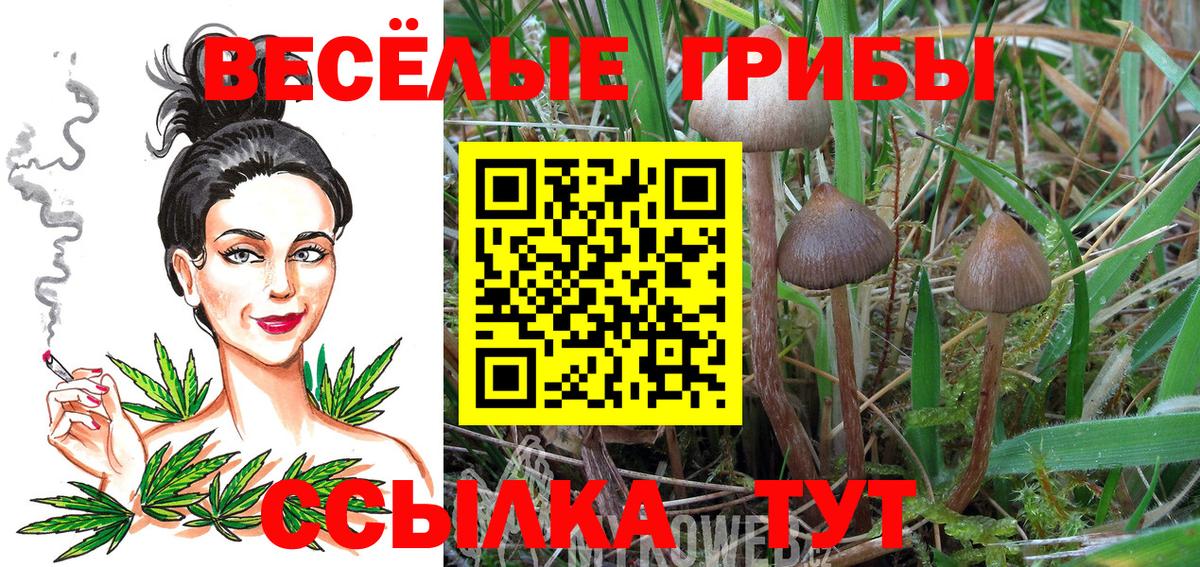 Галлюциногенные грибы GOLDEN TEACHER  Вход с VPN  Менделеевск  Псилоцибиновые грибы Magic Shrooms 