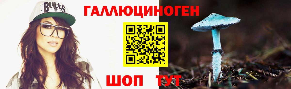 Псилоцибиновые грибы мицелий Менделеевск
